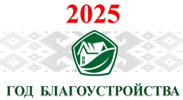 Об объявлении 2025 года Годом благоустройства