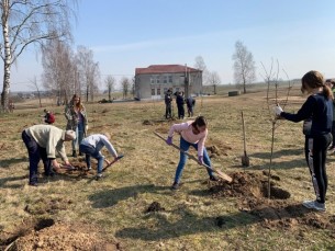 Сад Перамогі высадзілі ў Крэйванцах і Граўжышках