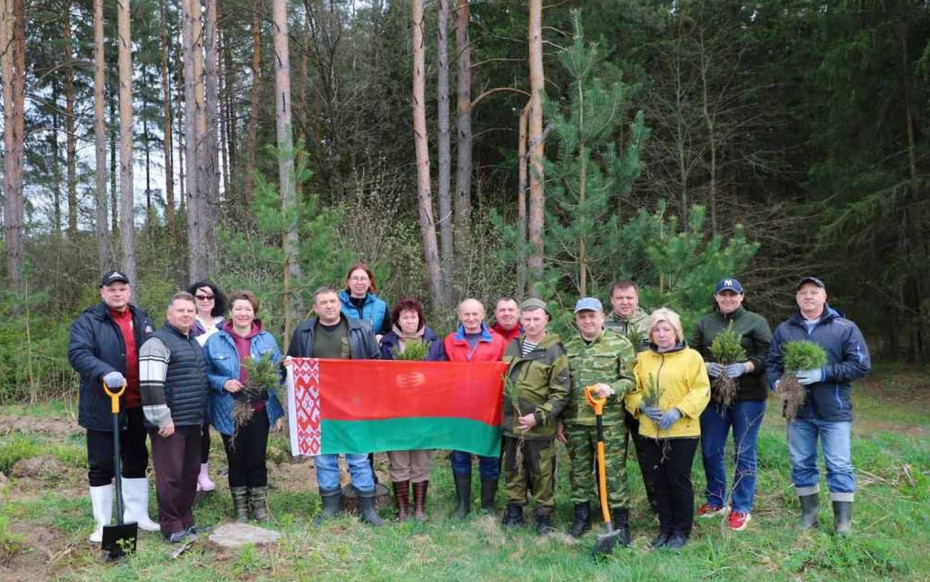 Депутаты Ошмянщины присоединились к республиканской акции «Обновим леса вместе»