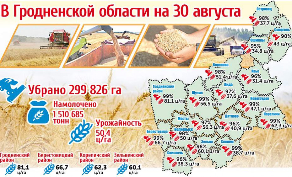 Карта ўборачнай кампаніі Гродзенскай вобласці на 30 жніўня (Інфаграфіка)